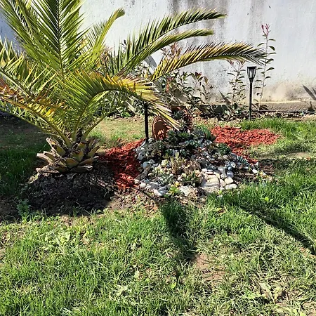 Despina * Nea Irakleia