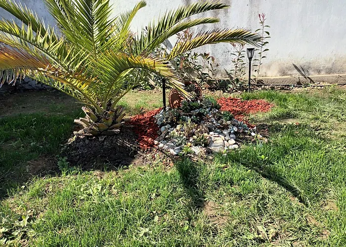 Despina * Nea Iraklia